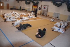 2. Jiu-Jitsu Lehrgang in Lauingen 2022