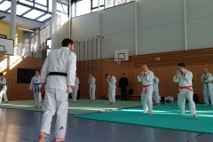 K800_20190209_105421