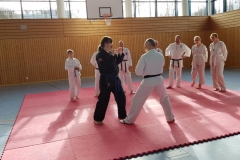 K800_20190209_134645