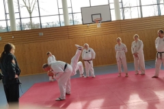 K800_20190209_141010