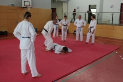 galery_lehrg220430058