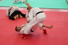 galery_lehrg220430126